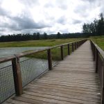Picture of a trail section at the Steigerwald Wildlife Refuge. It shows a wooden bridge with sturdy wooden railings on either side crossing a lake.