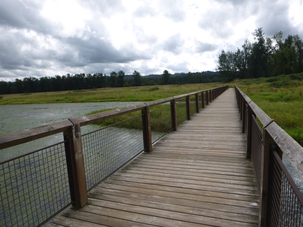 Picture of a trail section at the Steigerwald Wildlife Refuge. It shows a wooden bridge with sturdy wooden railings on either side crossing a lake.
